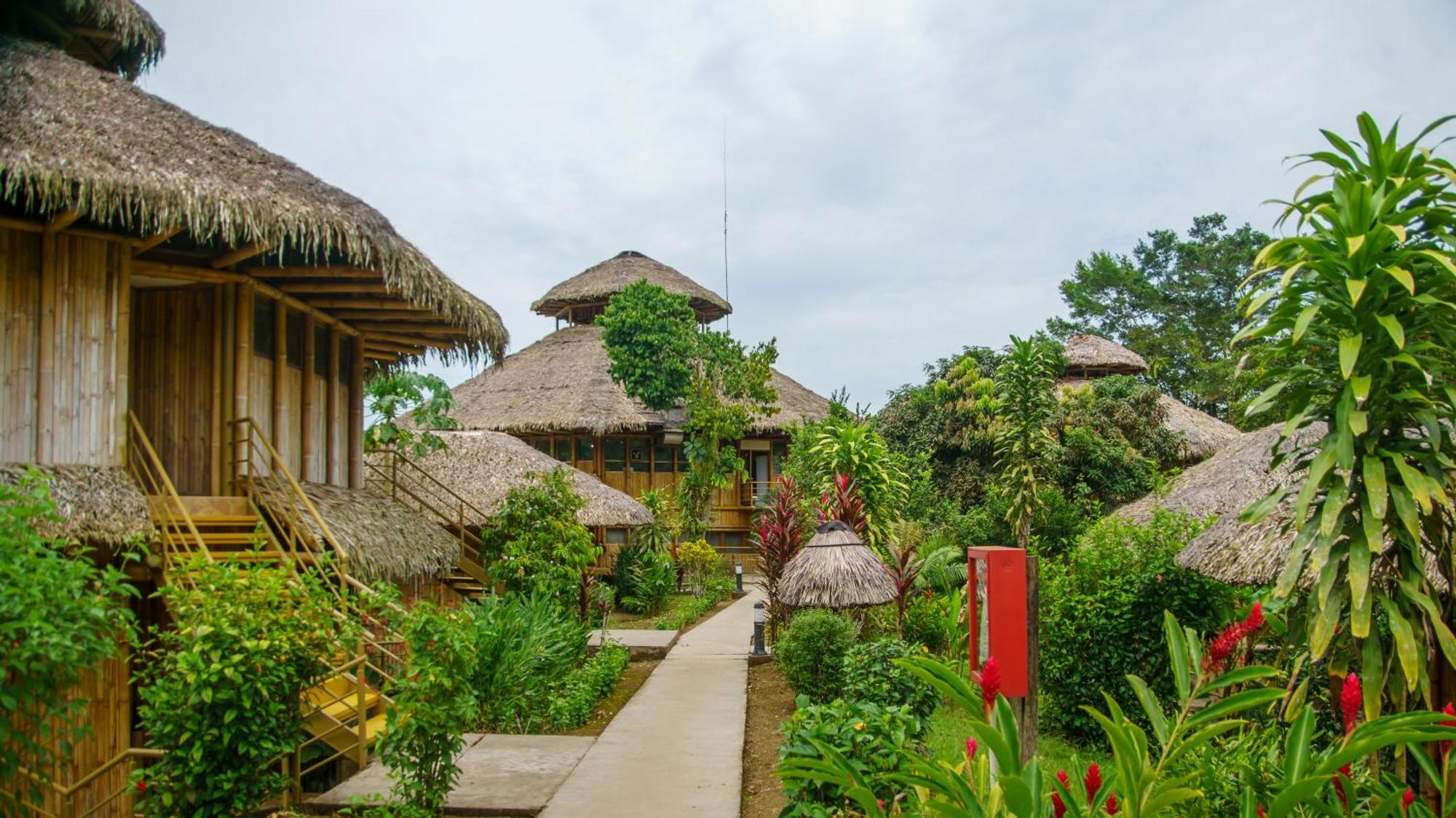 La Selva Eco-Lodge & Retreat Providencia Buitenkant foto