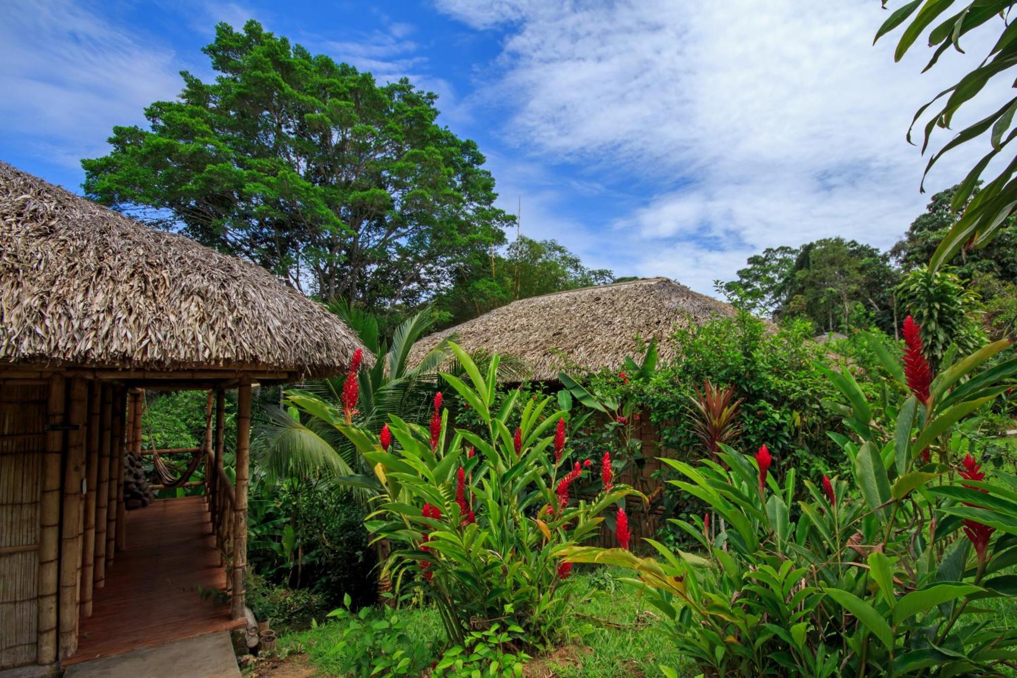 La Selva Eco-Lodge & Retreat Providencia Buitenkant foto