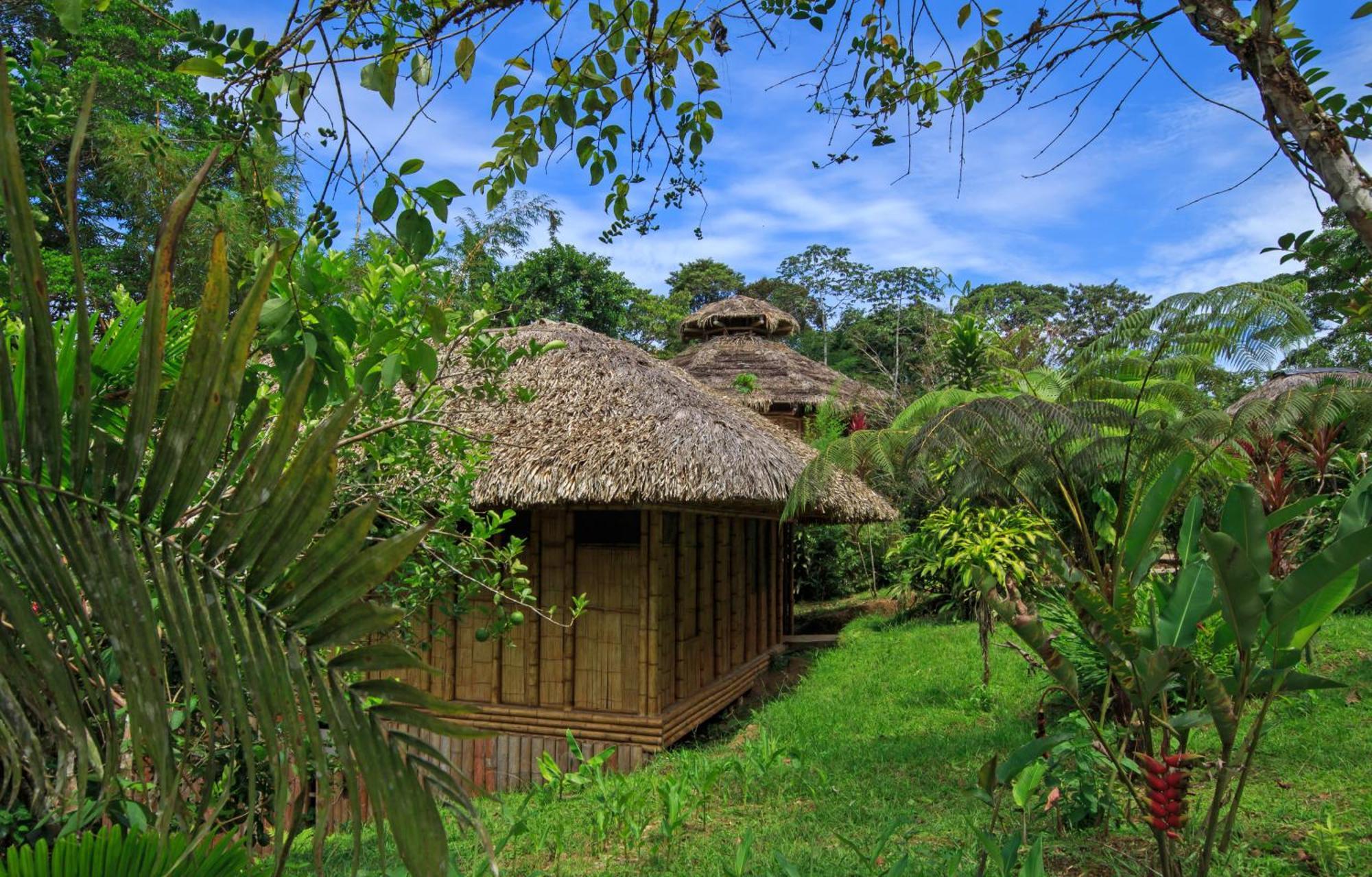 La Selva Eco-Lodge & Retreat Providencia Buitenkant foto