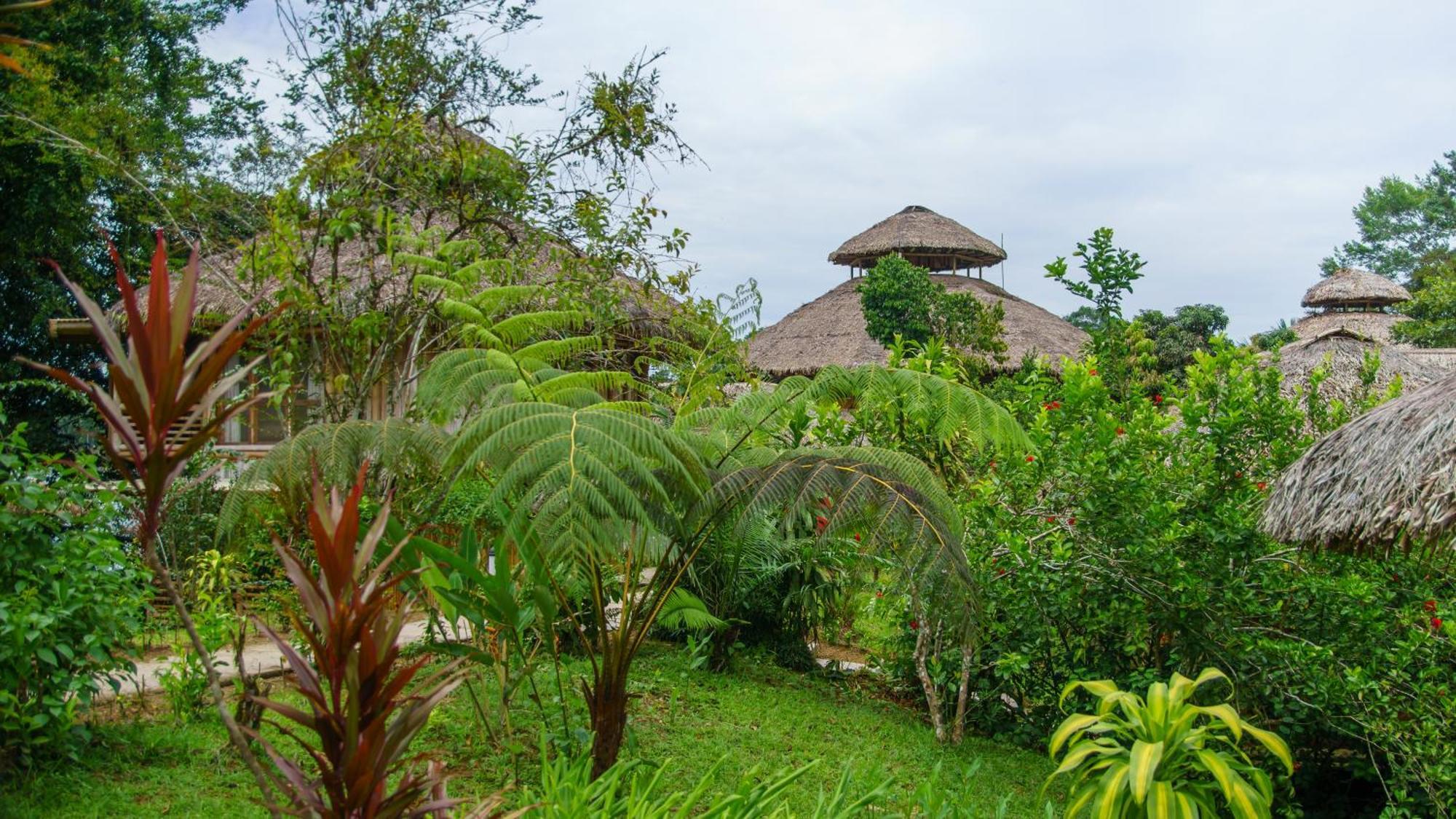 La Selva Eco-Lodge & Retreat Providencia Buitenkant foto