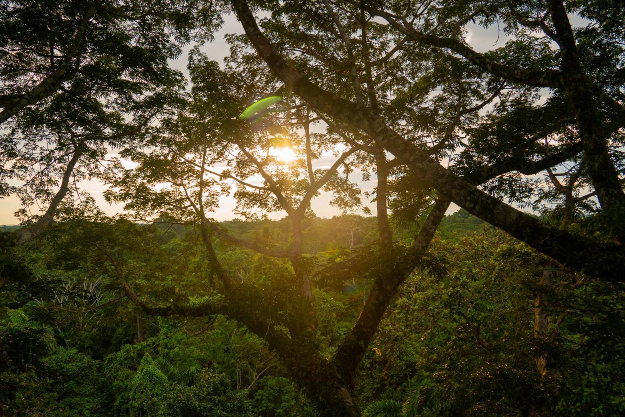 La Selva Eco-Lodge & Retreat Providencia Buitenkant foto