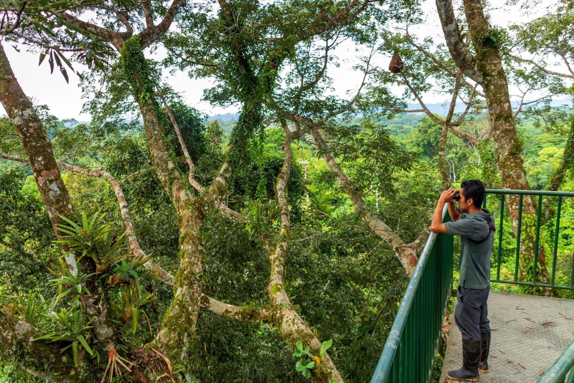 La Selva Eco-Lodge & Retreat Providencia Buitenkant foto